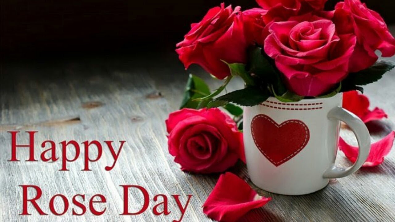 Valentine Week Rose Day Images HD Download