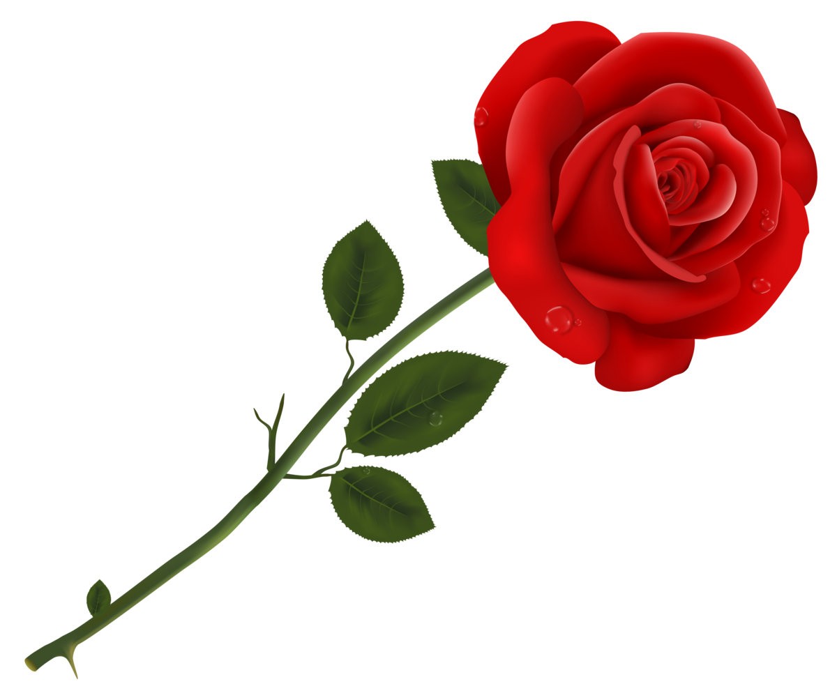 Happy Rose Day 2020 Wishes