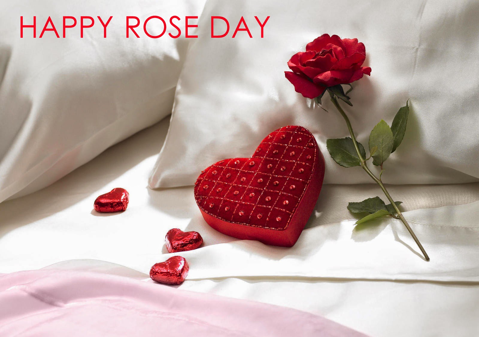 Rose Day 2020 Quotes, Wallpaper, Sms, Song