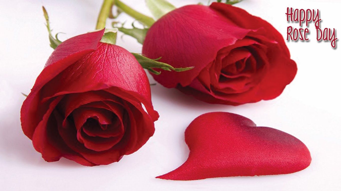 Rose Day 2020 Quotes, Wallpaper, Sms, Song