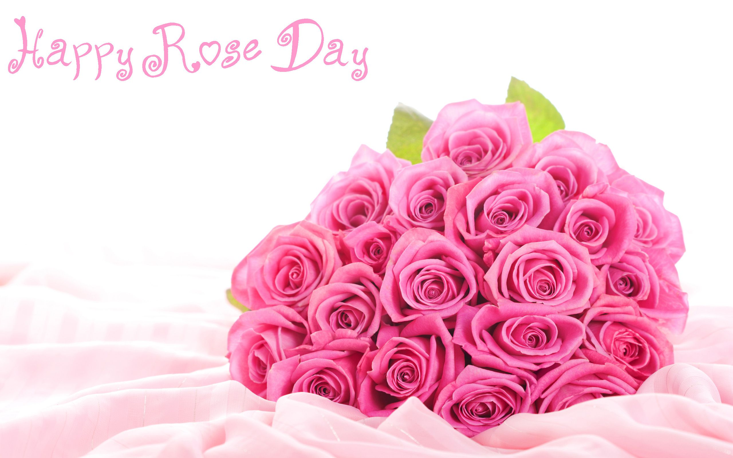 Rose Day 2020 Quotes, Wallpaper, Sms, Song