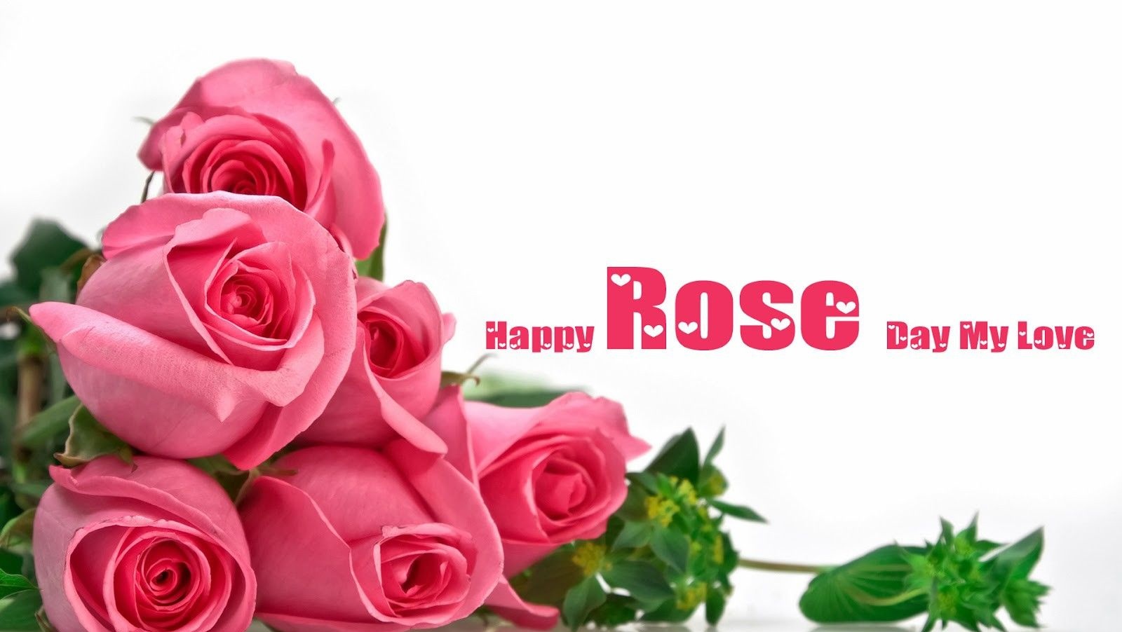 Rose Day 2020 Quotes, Wallpaper, Sms, Song