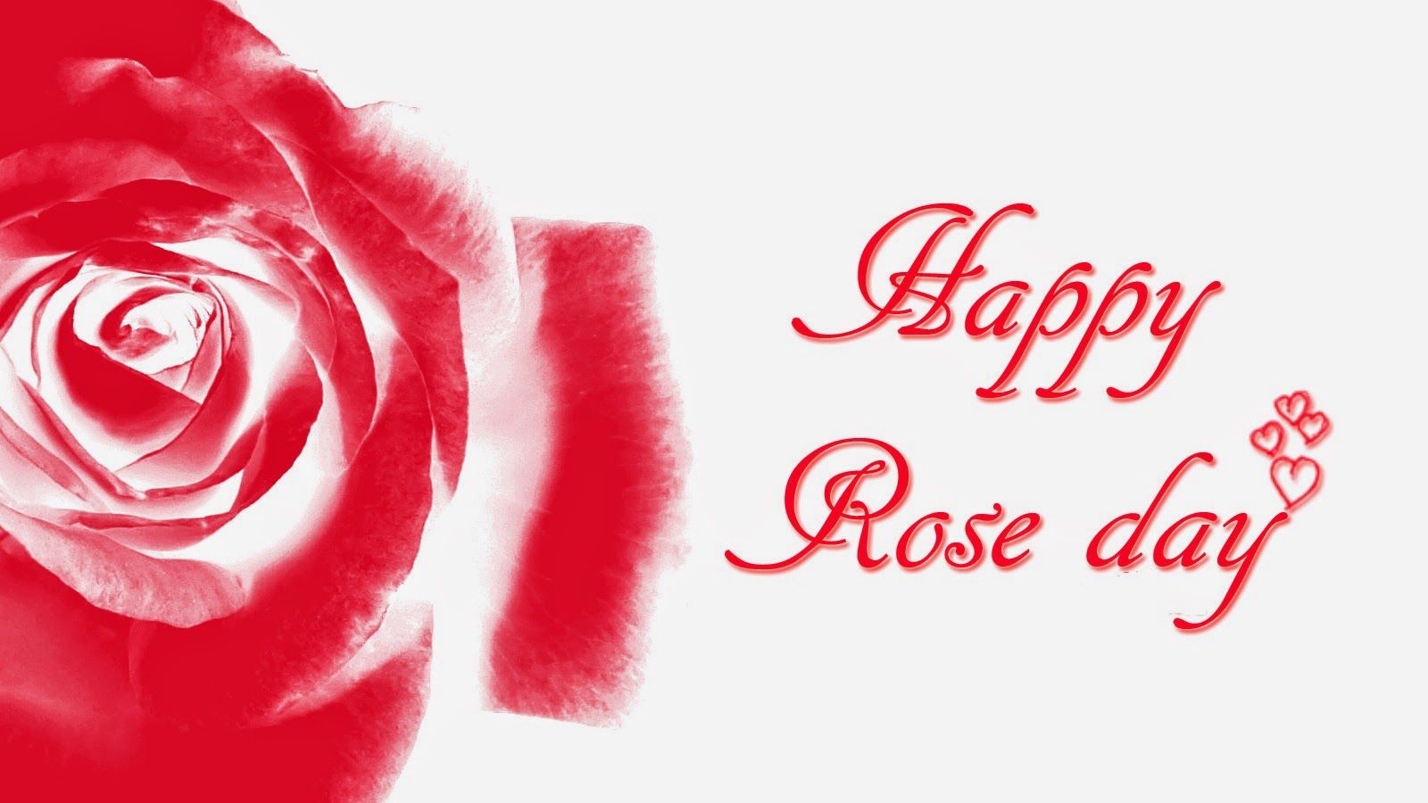 Rose Day 2020 Quotes, Wallpaper, Sms, Song