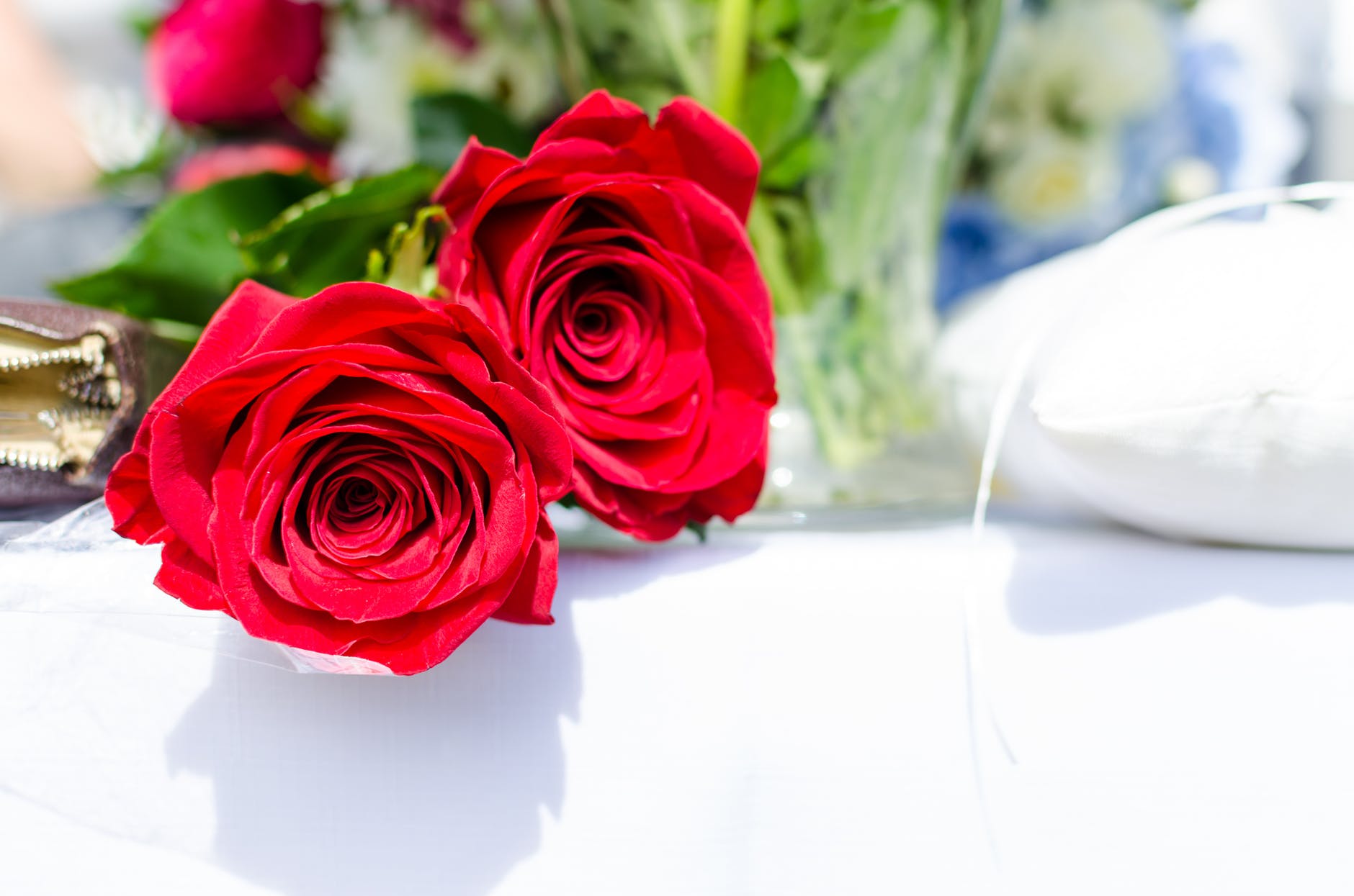 Rose Day 2020 Quotes, Wallpaper, Sms, Song