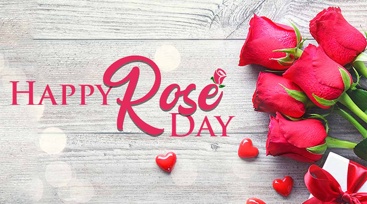 Valentine Week Rose Day Images HD Download