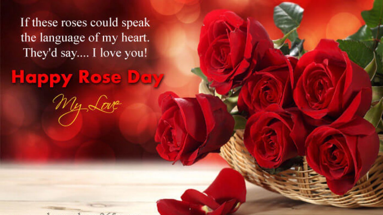 Rose Day 2020 Quotes, Wallpaper, Sms, Song