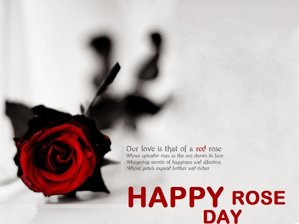 Valentine Week Rose Day Images HD Download