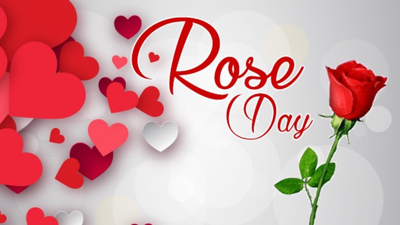 Rose Day 2020 Quotes, Wallpaper, Sms, Song