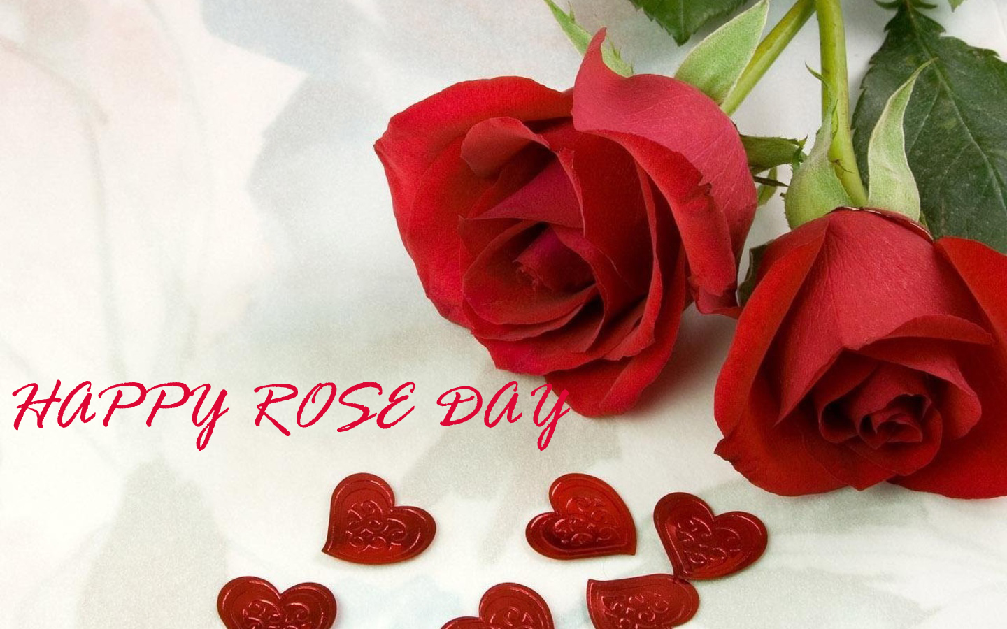 Valentine Week Rose Day Images HD Download