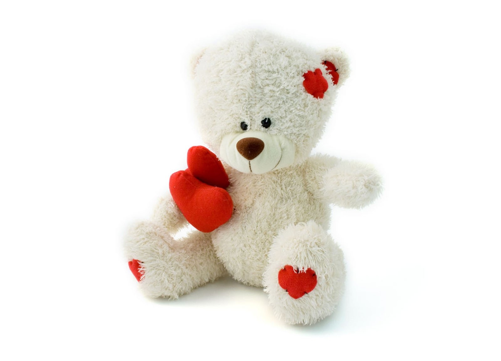 Teddy Bear Day