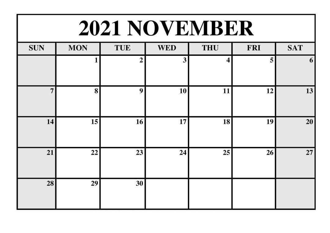 November 2021 Blank Calendar Portrait Poster