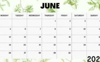 June Calendar 2023 With Holidays